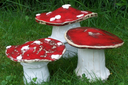 Pilze